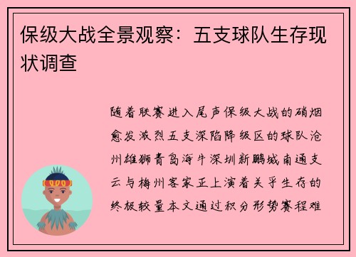 保级大战全景观察：五支球队生存现状调查