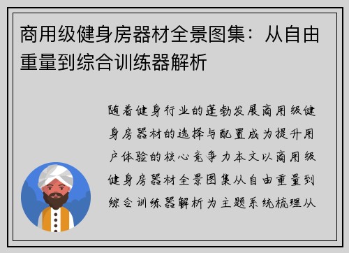 商用级健身房器材全景图集：从自由重量到综合训练器解析